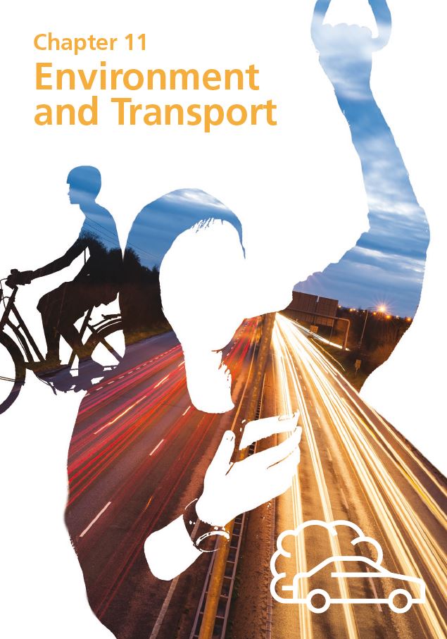 Report cover IE 2020 - Chapter 11